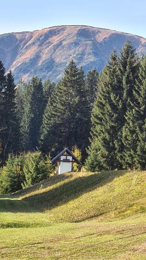 Horní Mísečky - apartmán M20 Exteriér fotografie